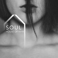 Soul House of Hair